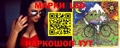 стафф Камышлов