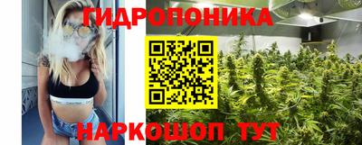 2c-b Канаш