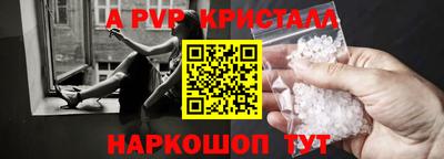 стафф Камышлов