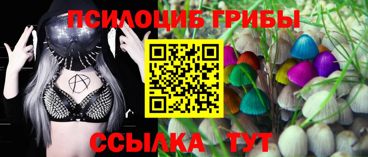 Галлюциногенные грибы Psilocybine cubensis  Галлюциногенные грибы ЛСД  Вход с VPN  Энгельс 